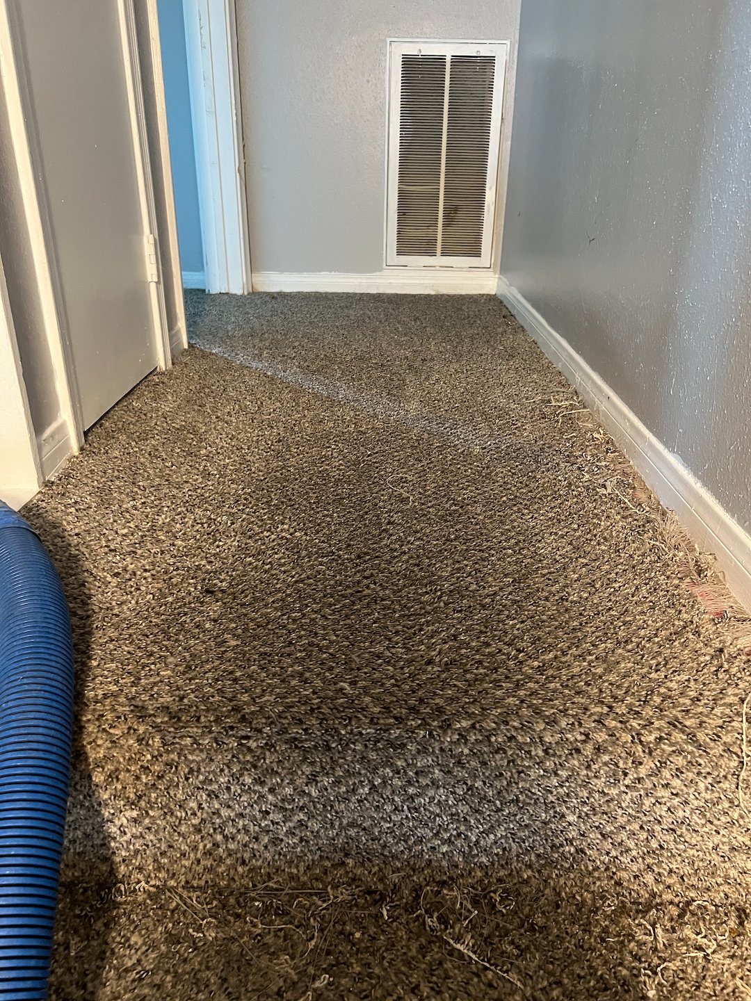 Carpet cleaning ,steam cleaning,Deep cleaning,katy tx  Thumbnail