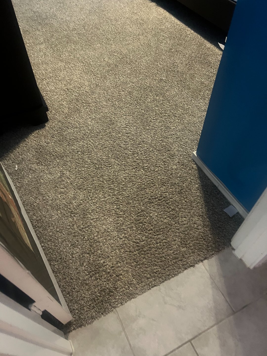 Carpet cleaning, steam cleaning ,shampooing, Baytown Texas Thumbnail