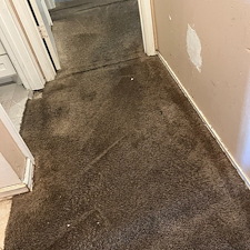 carpet-cleaning-steam-cleaning-Deep-cleaning-Baytown-Texas-3 2