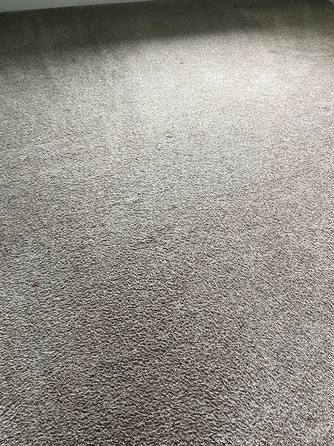 Carpet cleaning, steam cleaning, Deep cleaning, cypress Texas Thumbnail