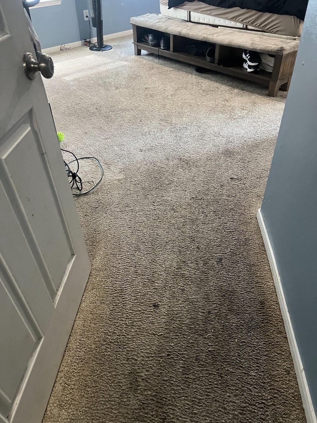 carpet cleaning, steam cleaning, Deep cleaning, Baytown Texas  (4)
