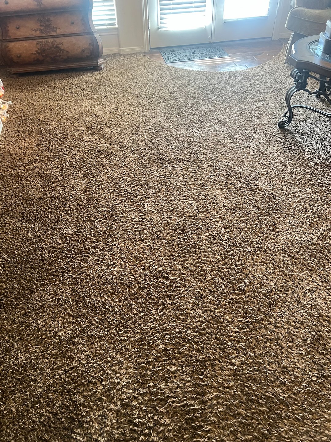 Carpet cleaning,steam cleaning,Deep cleaning, cypress tx