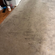 carpet-cleaningsteam-cleaningBaytown-tx 1
