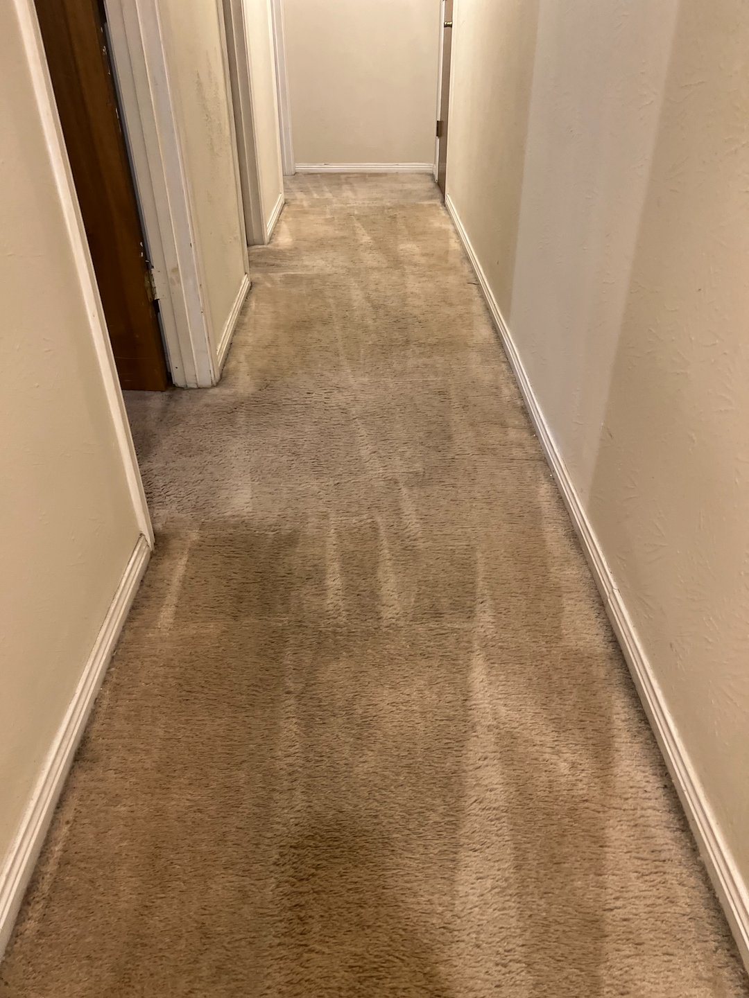 carpet cleaning,steam cleaning,Deep cleaning,pearland tx  (1) Thumbnail