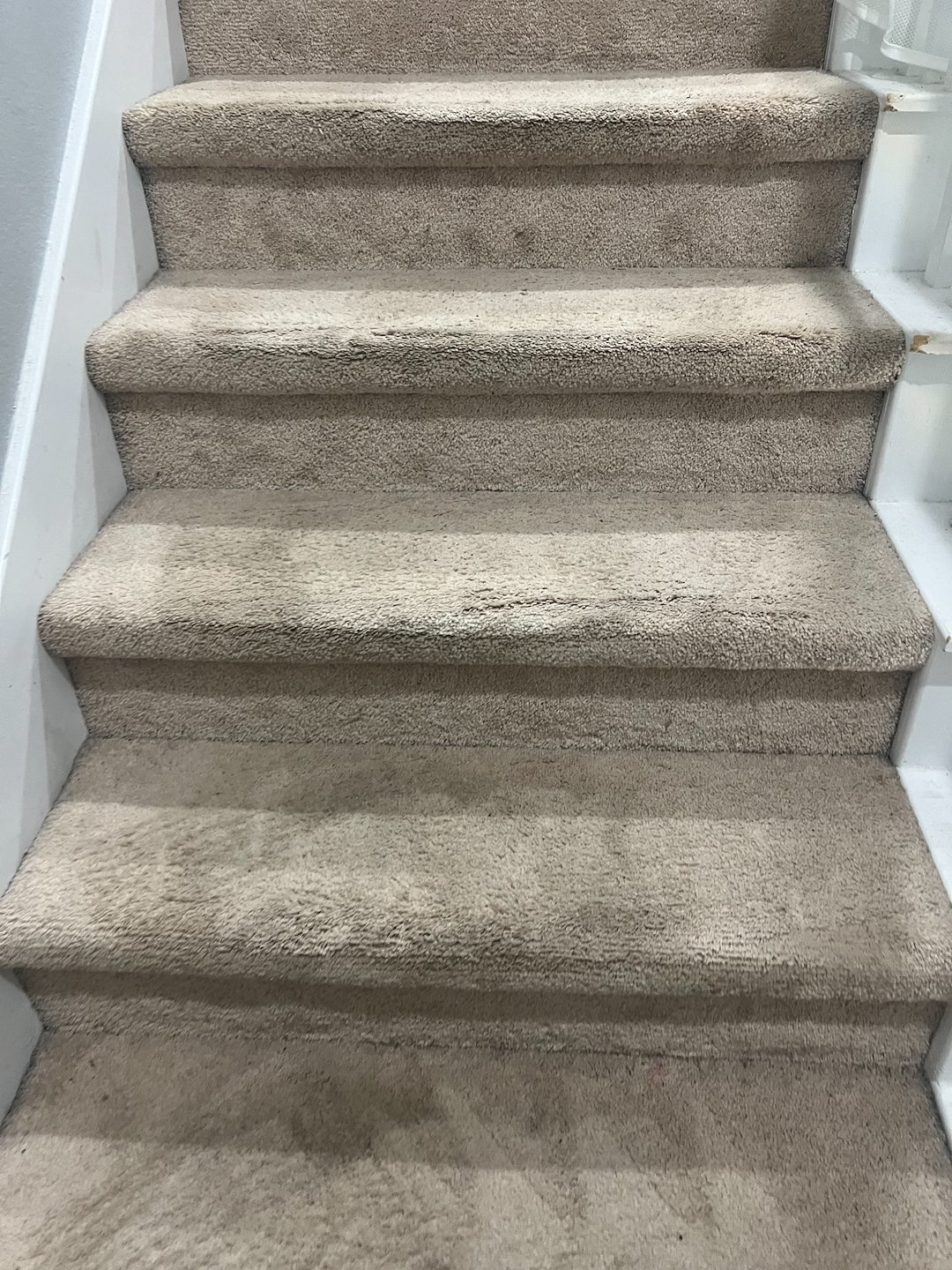 carpet cleaning,steam cleaning,Deep cleaning, pearland tx  Thumbnail