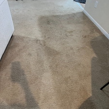 carpet-cleaningsteam-cleaningDeep-cleaningHumble-tx-2 1