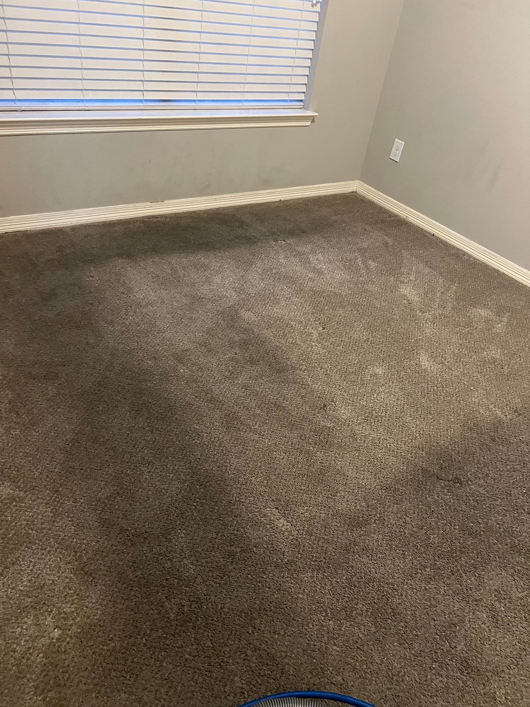 carpet cleaning,steam cleaning,deep cleaning,Baytown tx  (7) Thumbnail