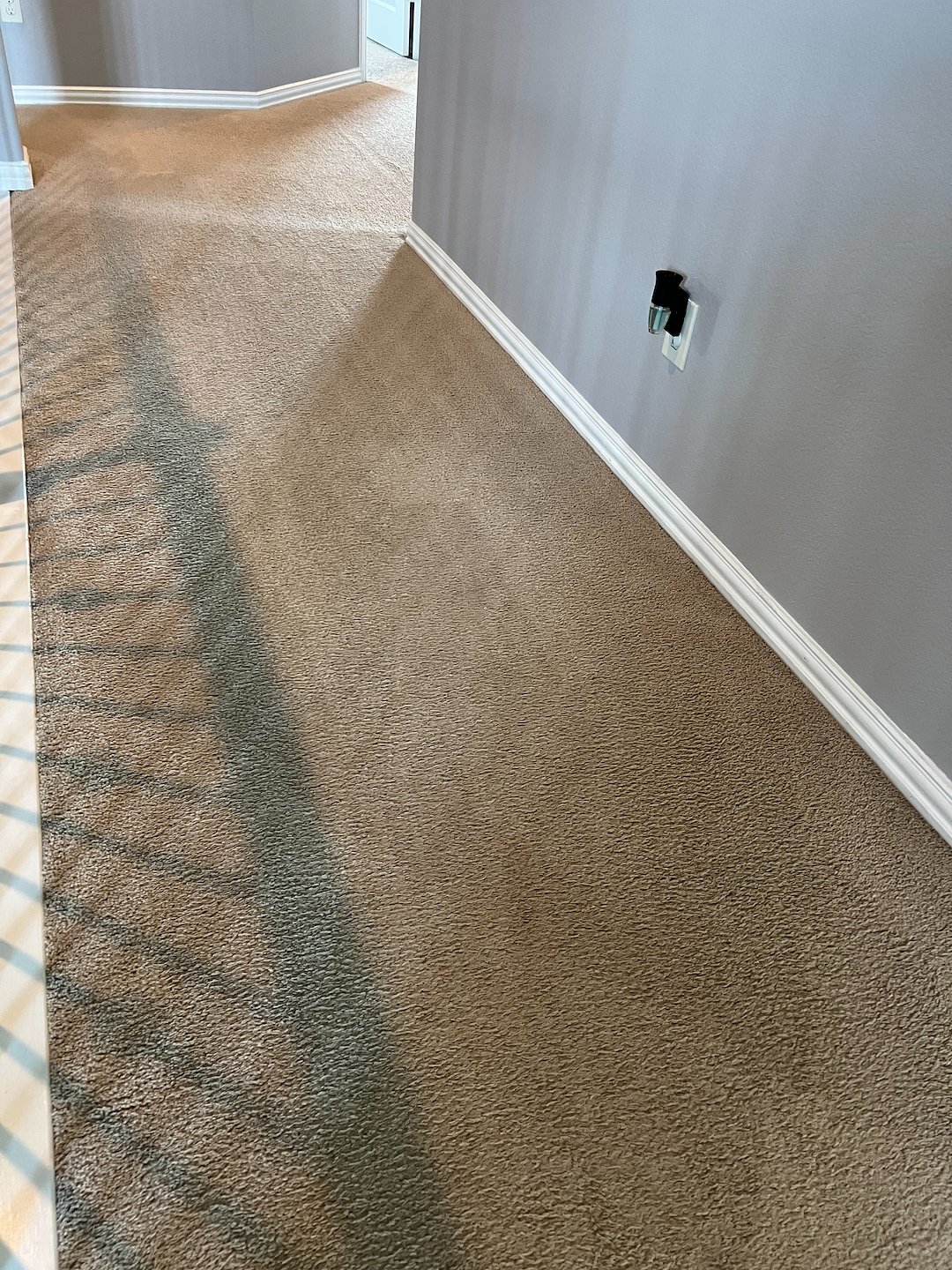 carpet cleaning,steam cleaning,deep cleaning,Humble tx (3) Thumbnail