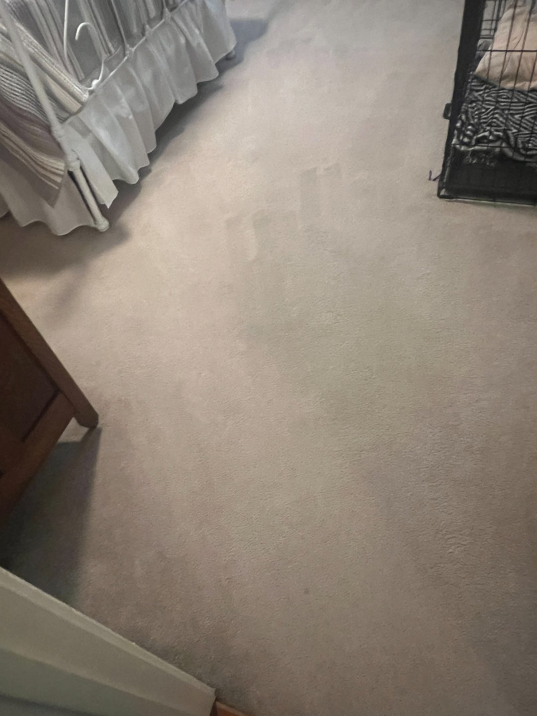 carpet cleaning,steam cleaning,Deep cleaning,Baytown tx (9) Thumbnail