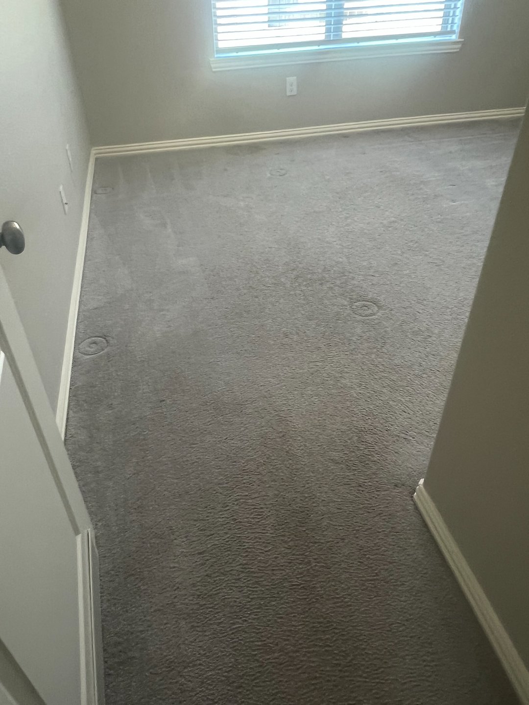 carpet cleaning,steam cleaning,Deep cleaning,Baytown tx (11) Thumbnail