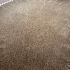 Carpet-cleaningsteam-cleaningshampooingRichmond-tx-1 1