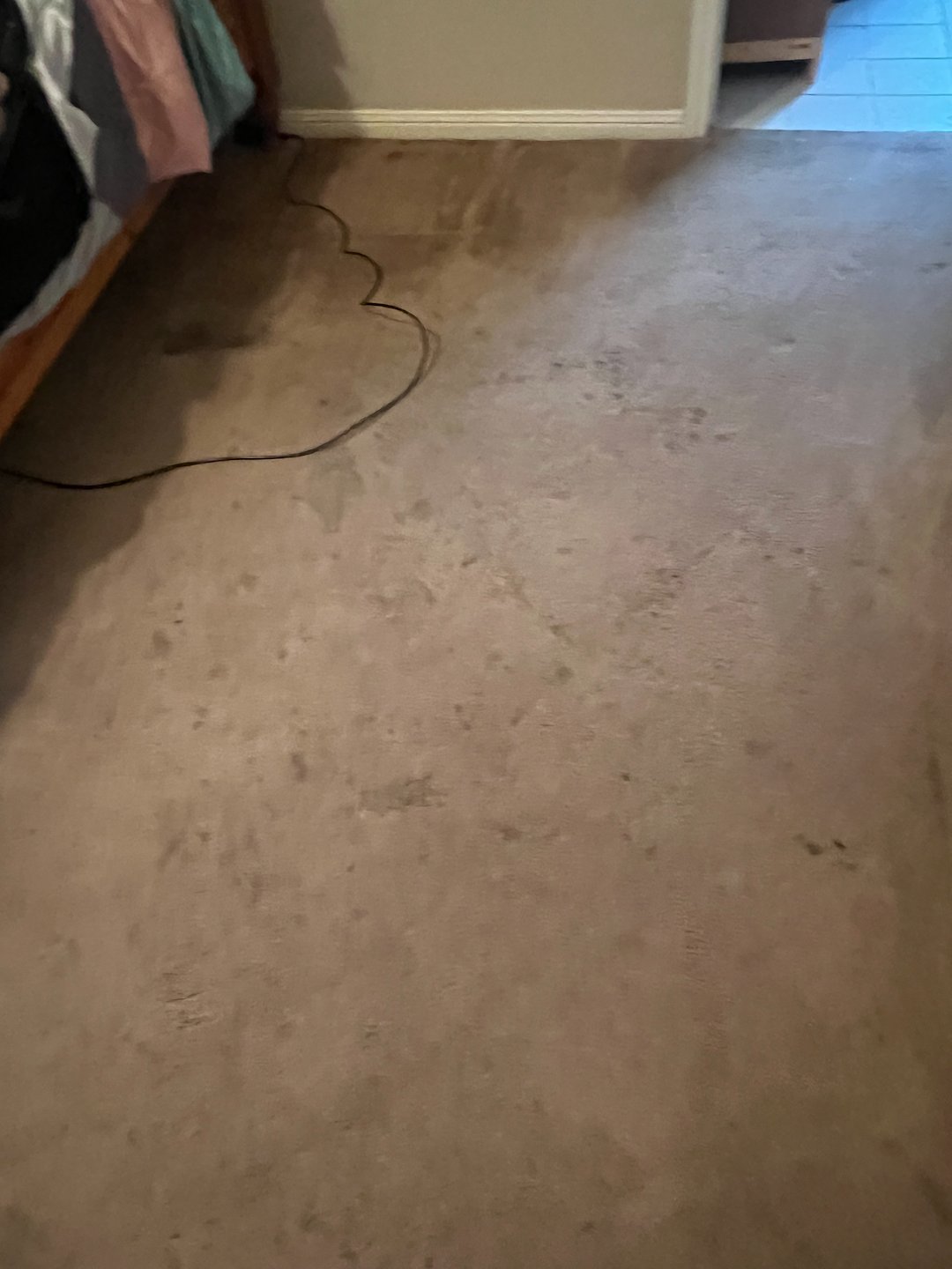 carpet cleaning,steam cleaning,shampooing,friendswood tx (1) Thumbnail