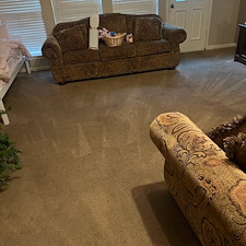 carpet-cleaningsteam-cleaningshampooingfriendswood-tx-1 2