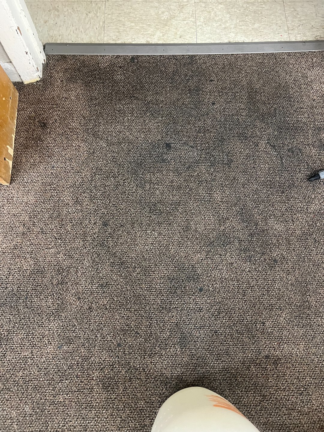 Commercial carpet cleaning, steam cleaning, Deep cleaning, Crosby texas Thumbnail