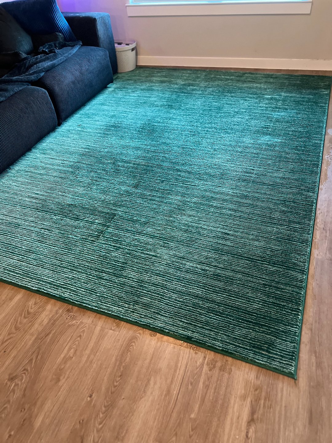 Pet stain removal,shampooing.Deep cleaning.stain removal,Pasadena tx Thumbnail