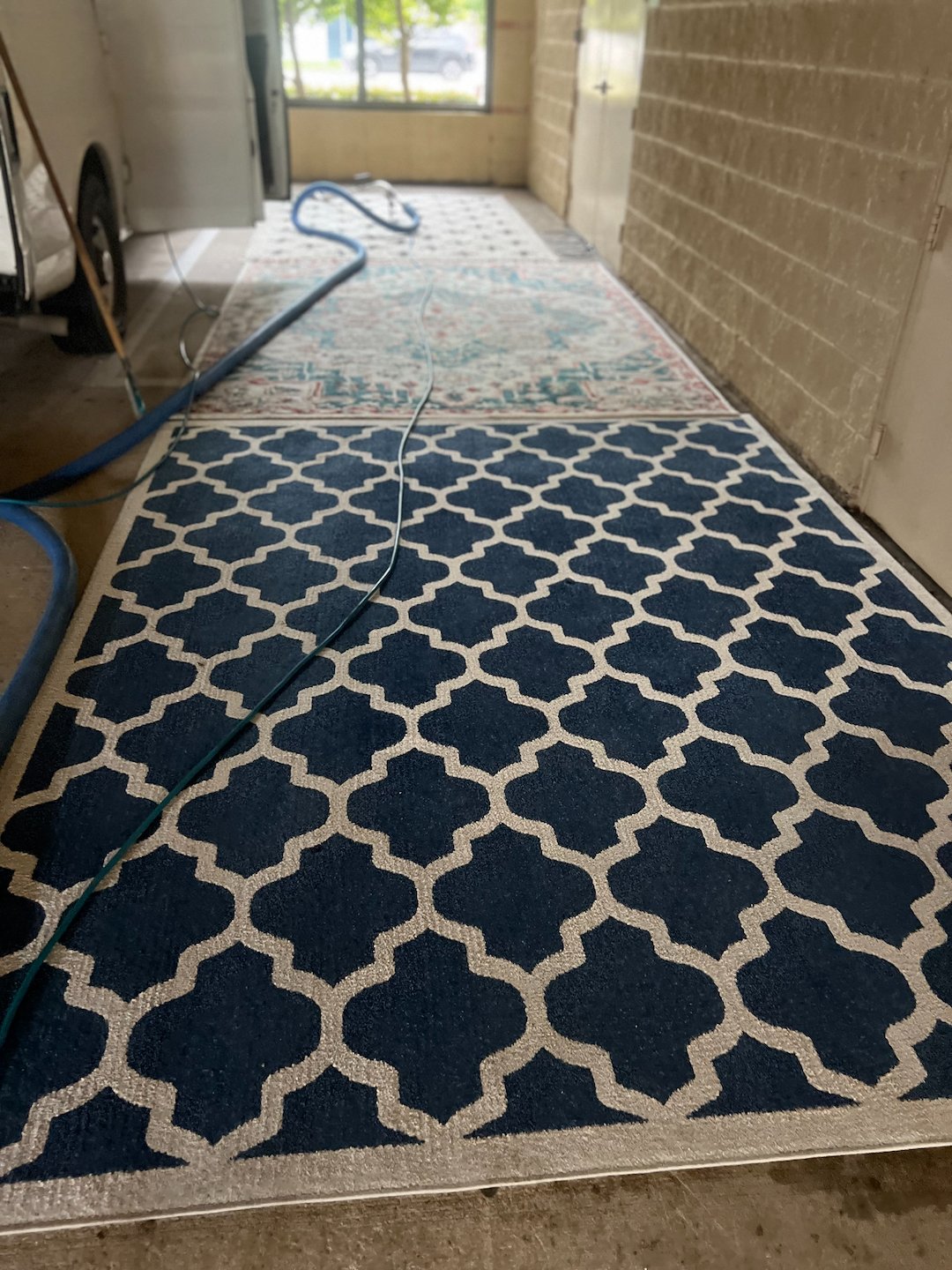 Pet stain Removal,steam cleaning,Deep cleaning,katy tx  Thumbnail