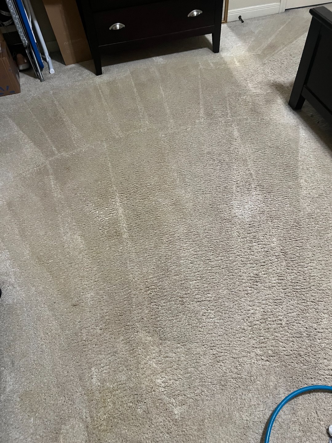 steam cleaning, carpet cleaner, shampooing, Beaumont Texas Thumbnail