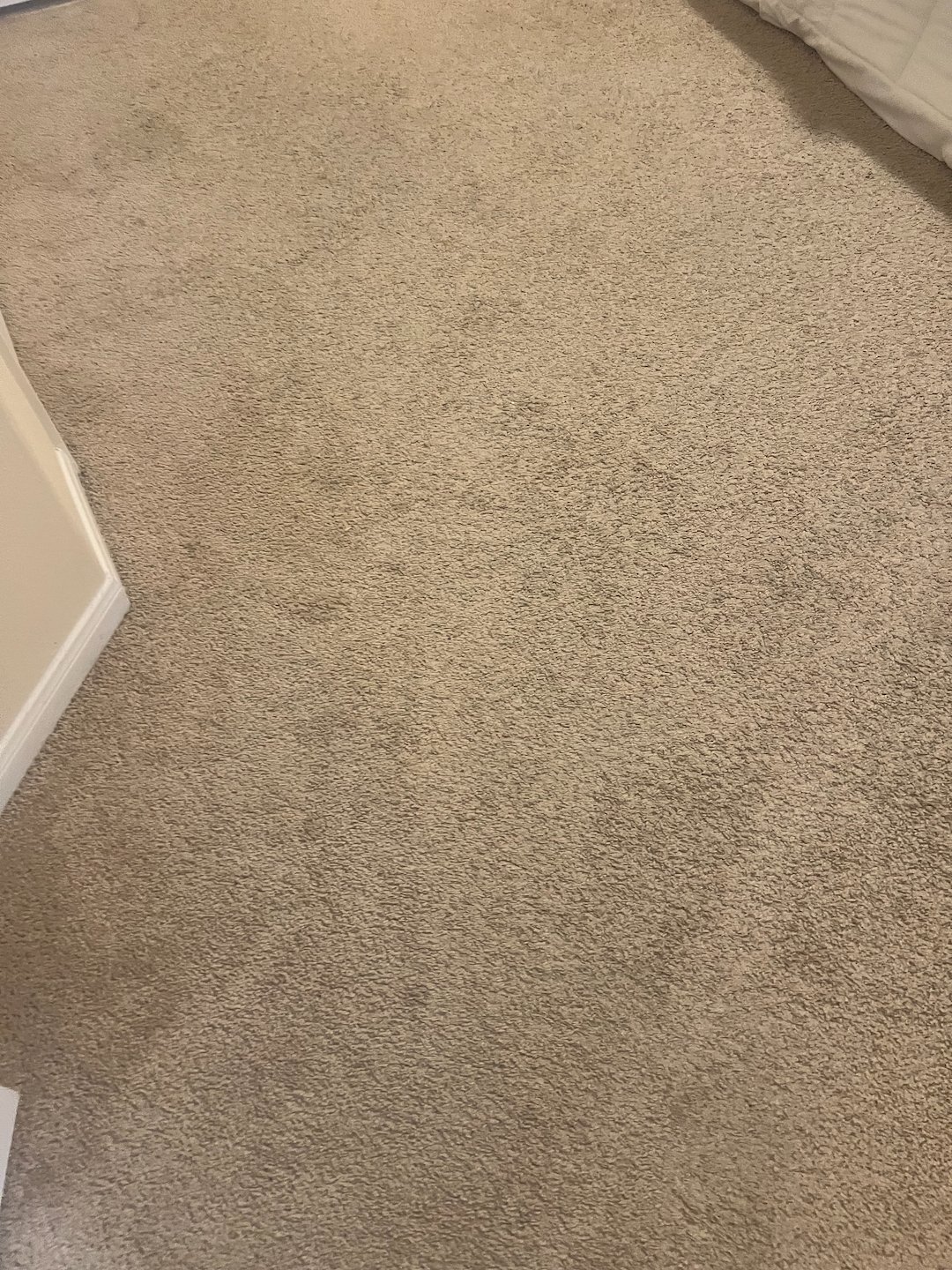 steam cleaning,Deep cleaning,shampooing,Baytown tx  Thumbnail