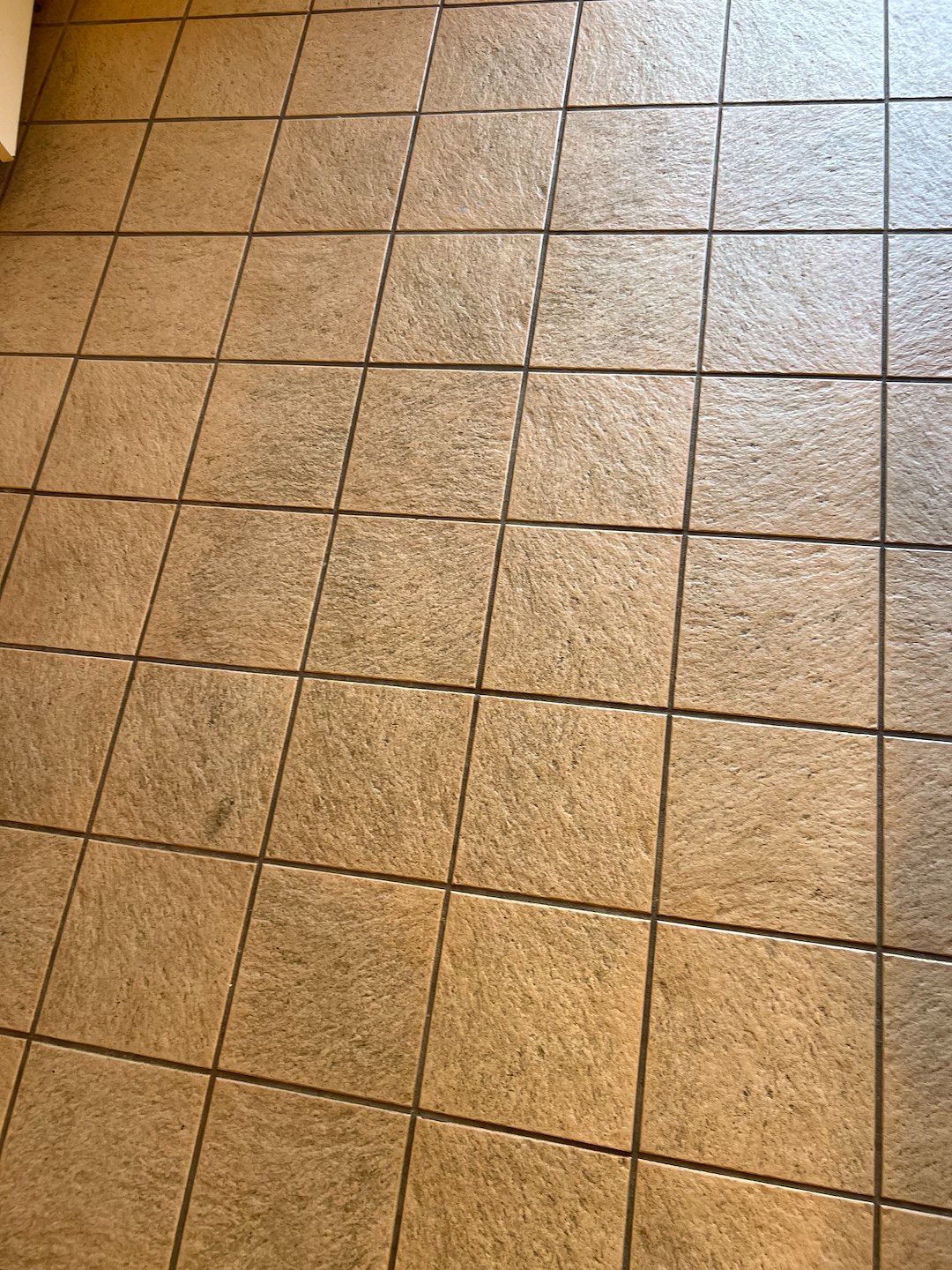 Tile grout, floor cleaning, strip waxing katy Texas Thumbnail